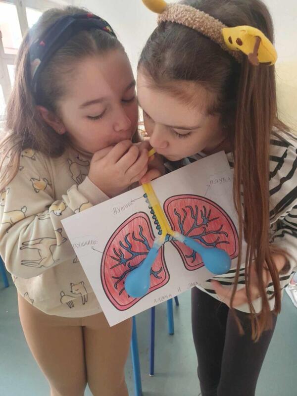 23ce50b8-8e8f-439b-8ec6-1139892111de