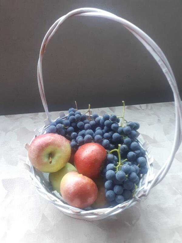 242214021 1169676700106984 8224381367299478620 n