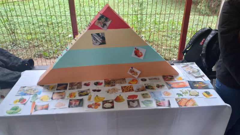 246453822 1791589617698140 3797502202062548550 n