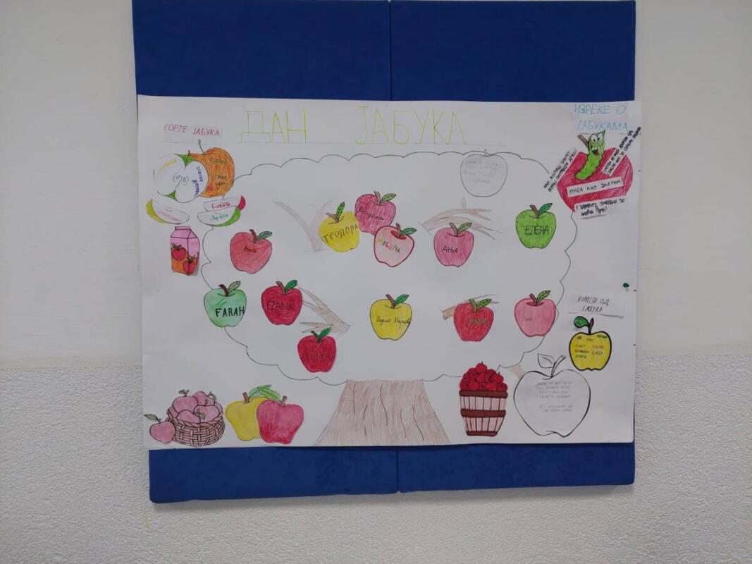 247245295 1302197856869412 1307490013231218403 n