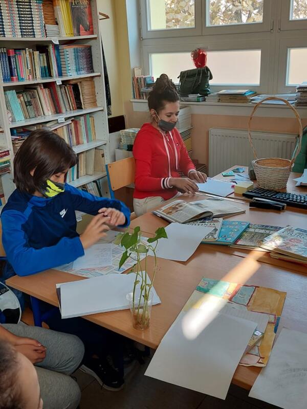 249263898 577715596842727 6735392395350058135 n