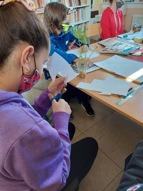 249712384 839407320063590 3783587198604783058 n