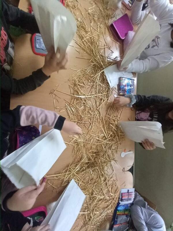 263285625 934058684151302 4146221615198657871 n