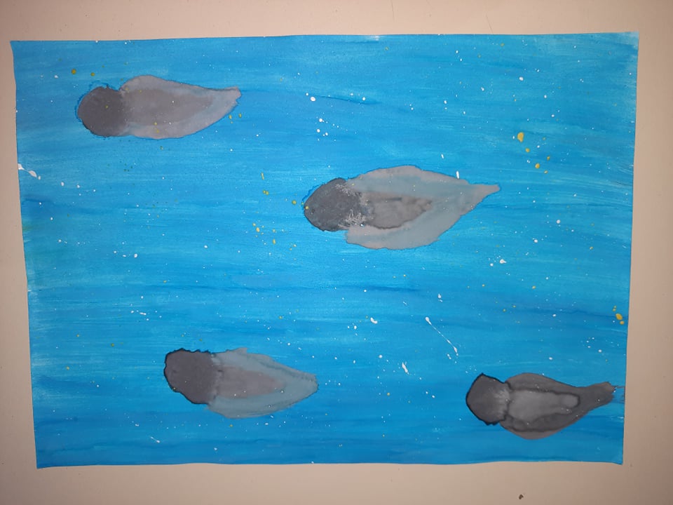 263330653 1077881719681120 1491542387610262041 n