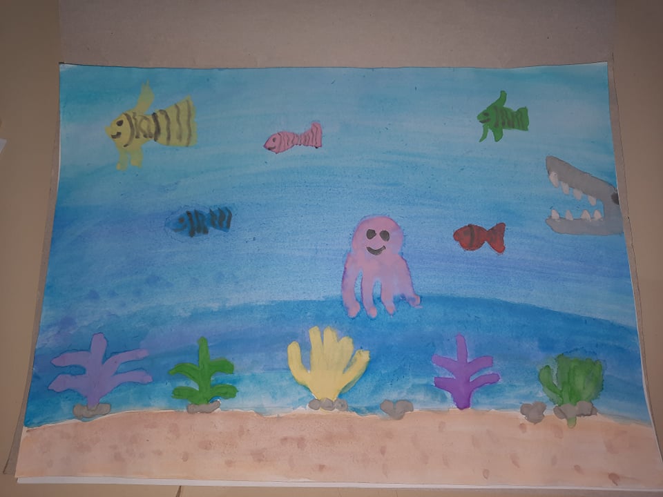 263554649 2408515575945586 2649256988468259719 n