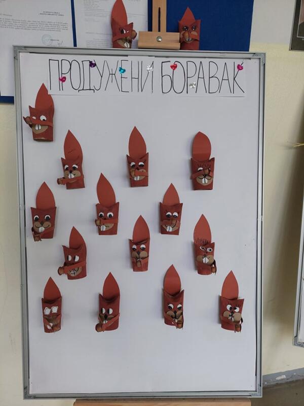 263662098 953581141966416 7096590940803909923 n