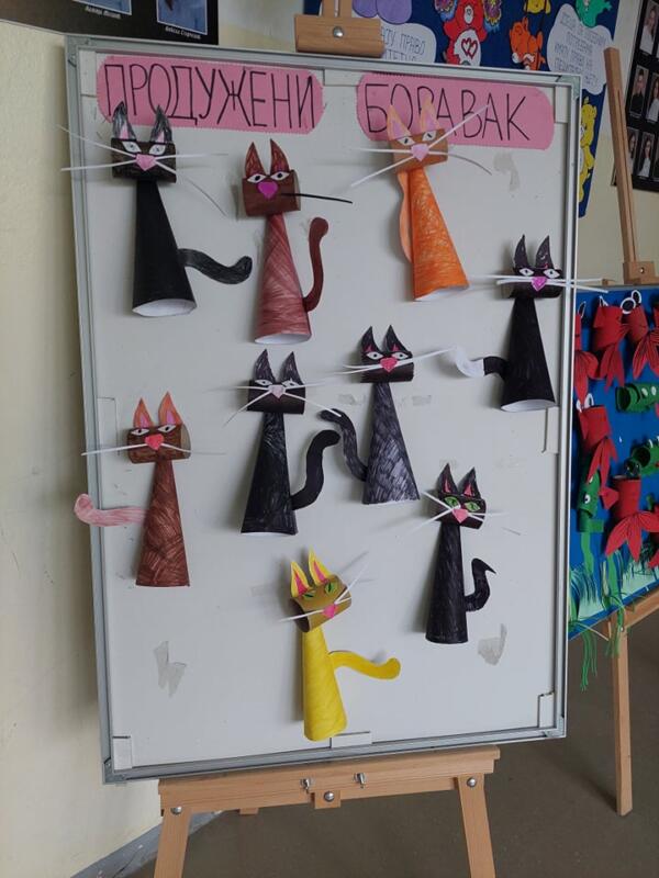 264145219 649014479597645 5800587785917889332 n