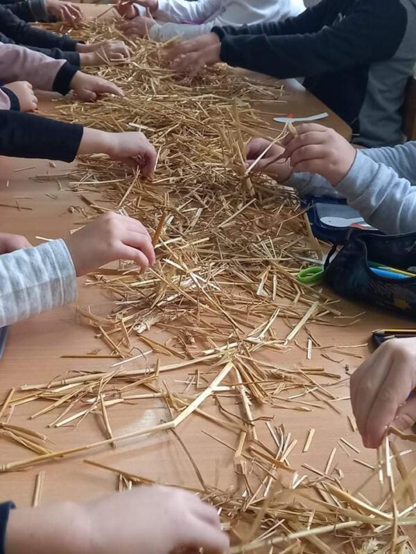 264682751 332567605392696 6699455460771448134 n