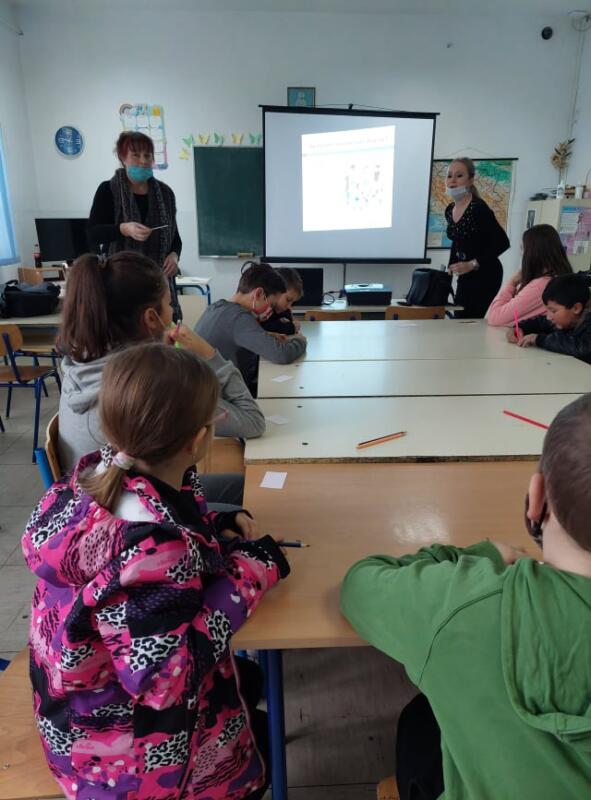 264739219 259827822801469 3953348805242655204 n