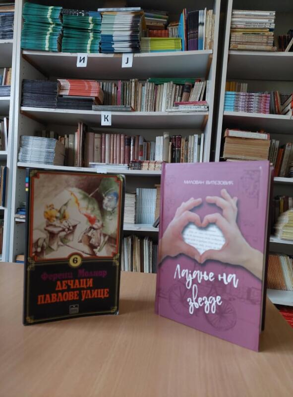 265197606 1146213666185698 1377837798345818716 n