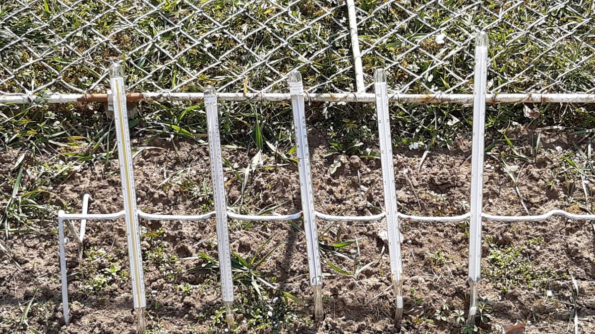 275703472 392870392673880 5812692716519951720 n