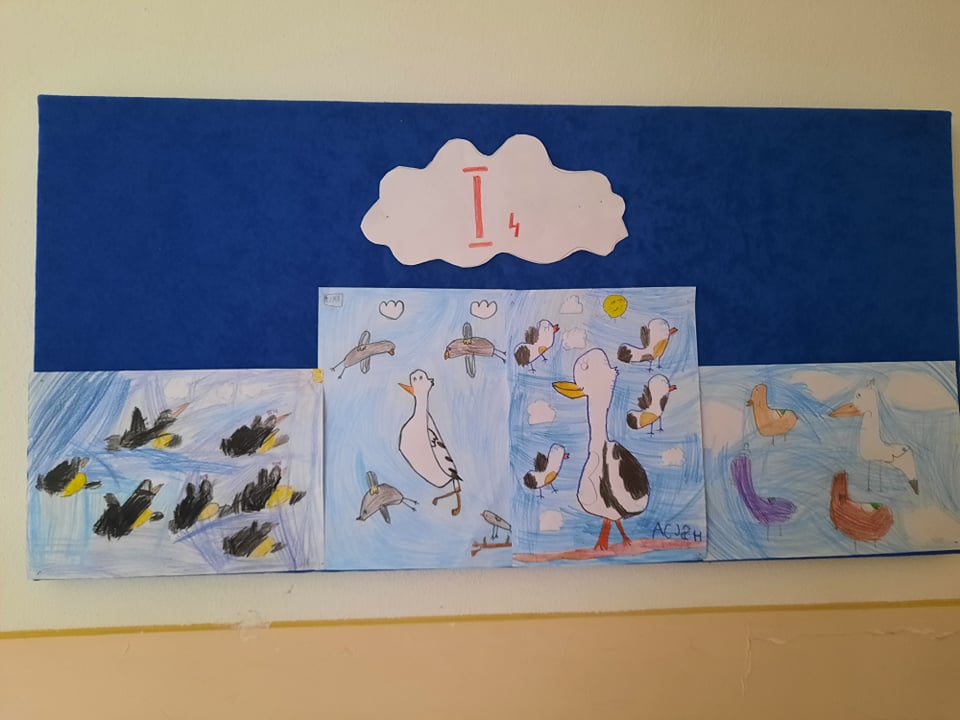 275839345 535286097922847 3127790082621992175 n