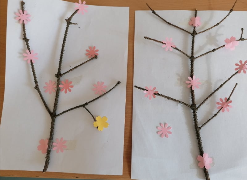 275852133 772146740427600 4698440112243677286 n