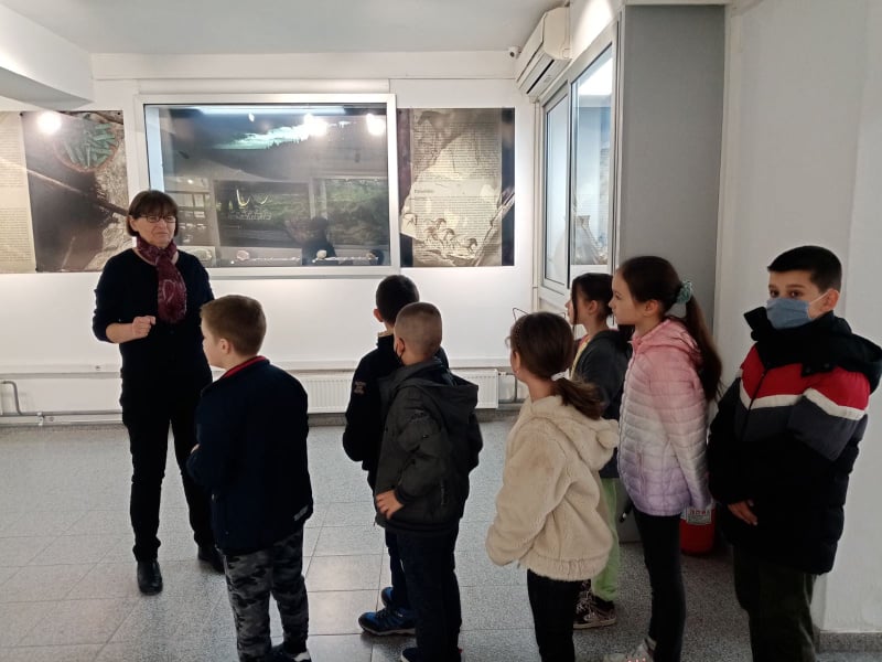 275884240 338268131688057 4853784924586973817 n