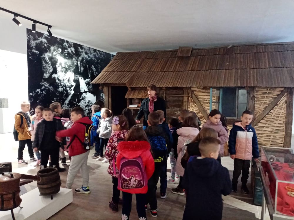 275946770 657238632227912 5871530781301189981 n