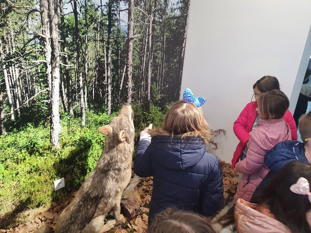 275991526 487149789750249 5796845296566872794 n