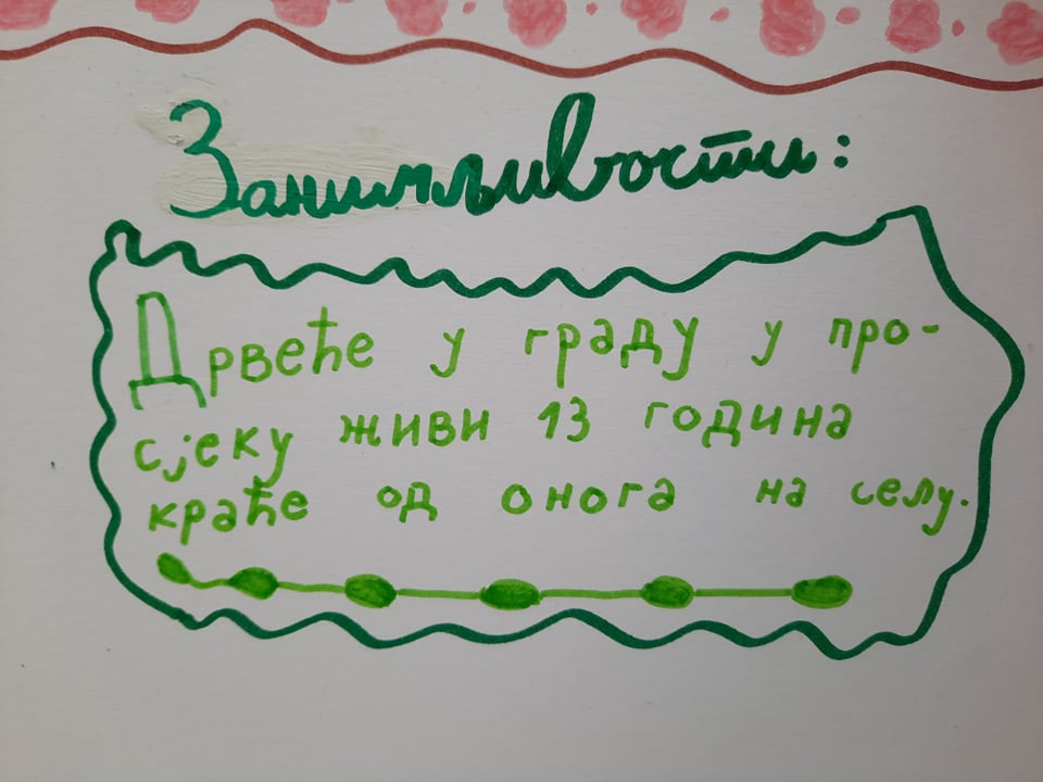 276100672 423738282846985 6029060715366026151 n (1)