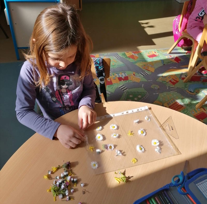 276132379 977653412877718 7391017073703075609 n