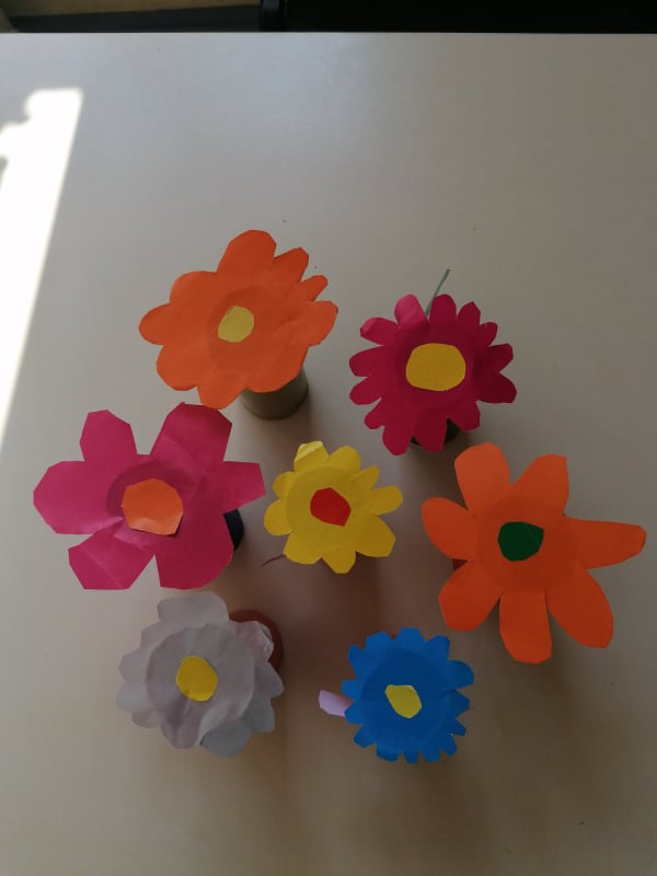 276137722 698215608282441 8324884627279731280 n