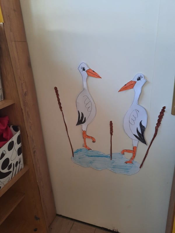 277222584 486337106537360 4715417515871825236 n