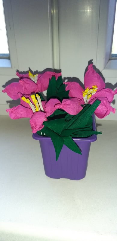 277235432 644877586834959 196215329274935241 n