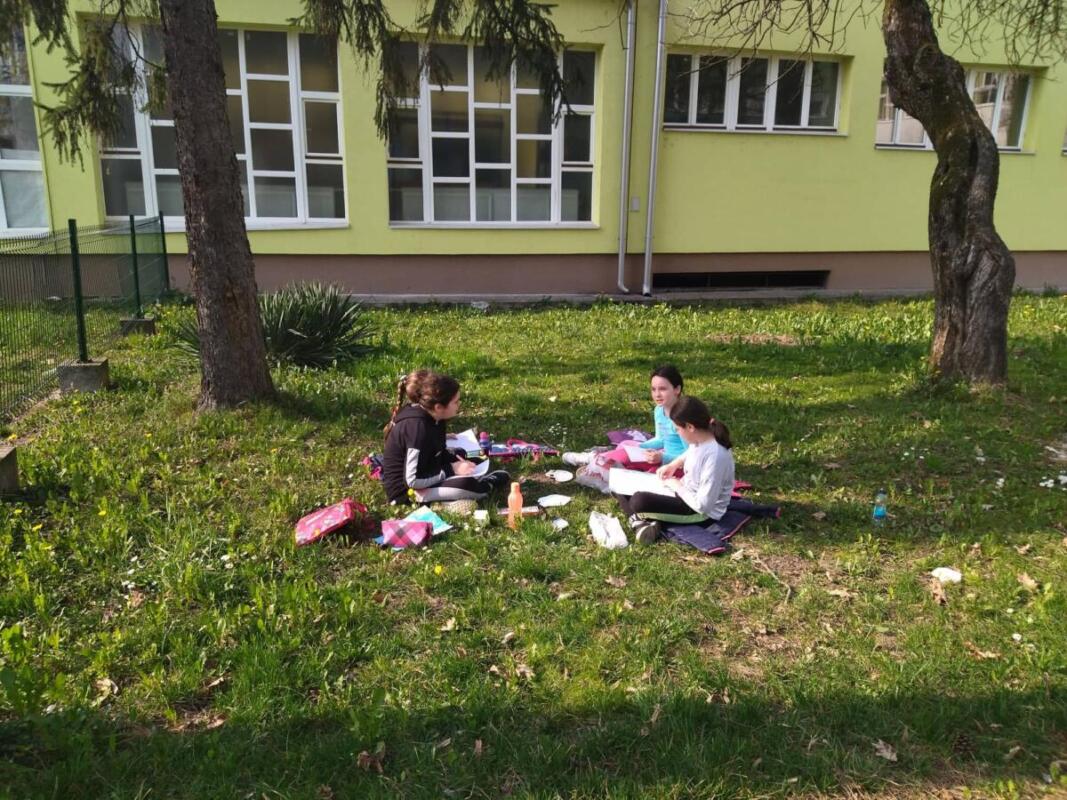 277266206 341524431261017 6414666001985808785 n