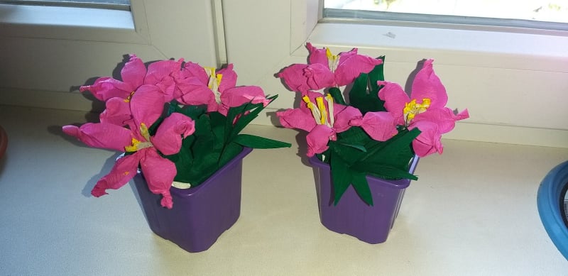 277293811 385514786740736 6683231175586531004 n