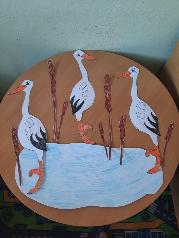 277312334 1045257659734308 2817630960139113429 n