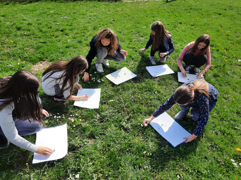 277341963 4739776566151905 2675136038461389154 n