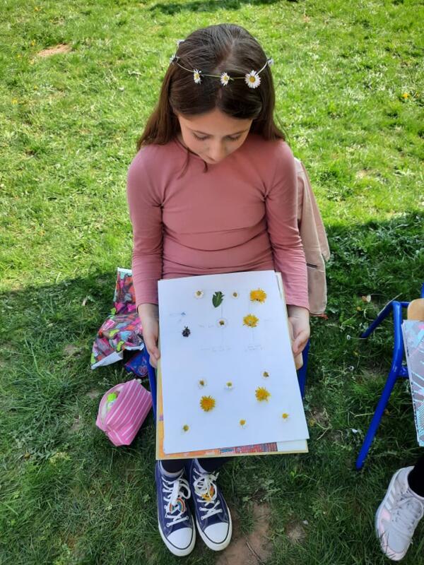 277345195 285829840237508 4116269912655602010 n - kopija