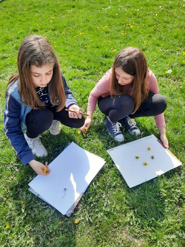 277405428 535108078030592 7950997336897481603 n