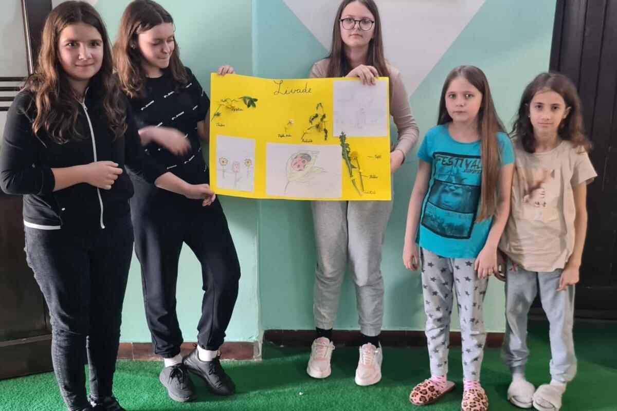 284773060 8122408917769999 2858033007609708074 n