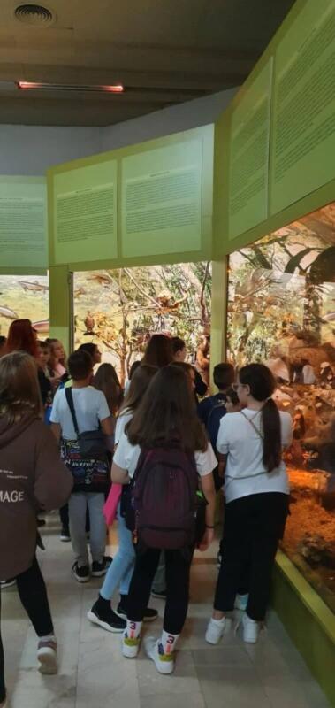 306348988 1096442320998749 1248410015708230026 n