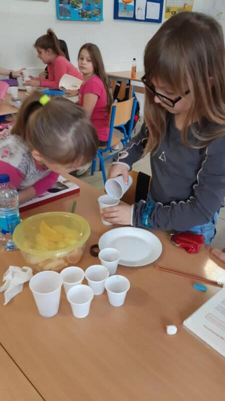 307290400 886625702749522 5287949886845266879 n - kopija