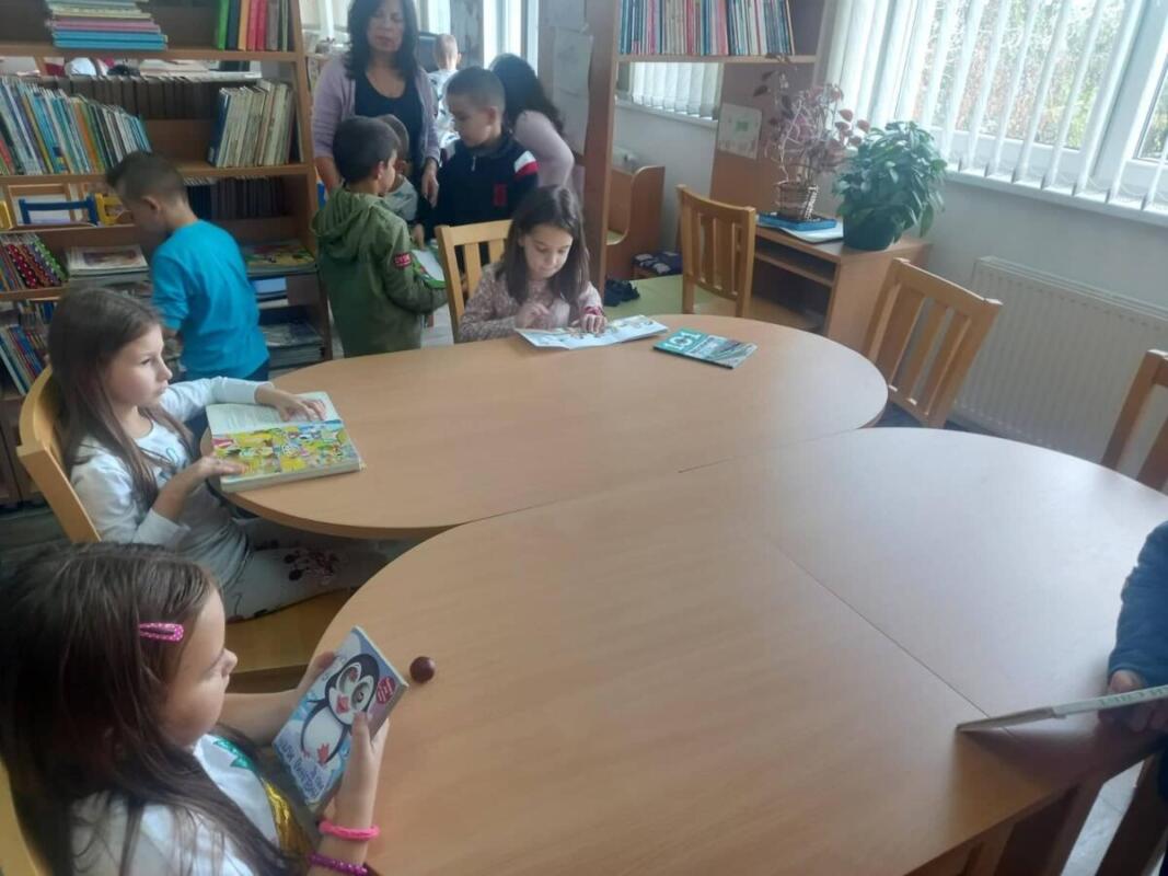 308623357 635807674801506 4797539421450380835 n