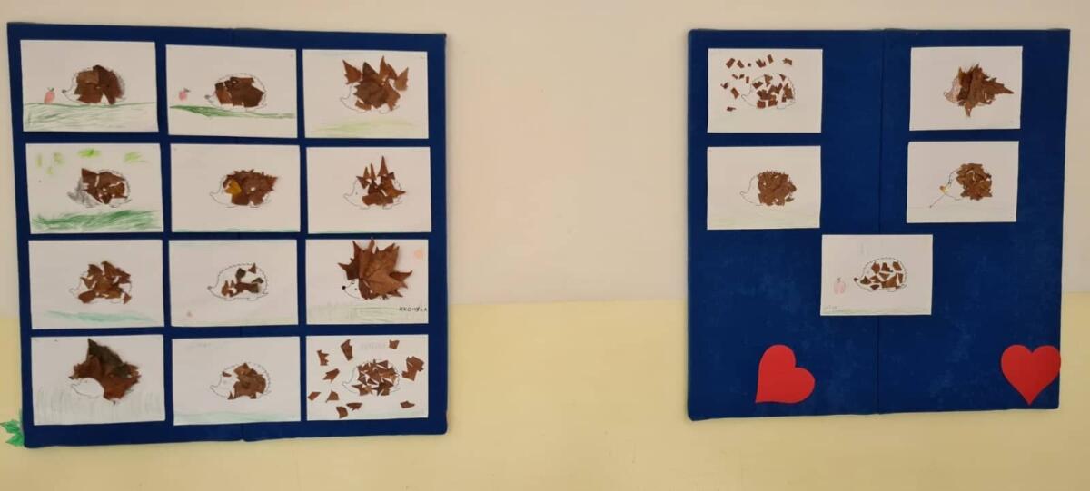 309325515 1051111322217494 1332601127555136149 n