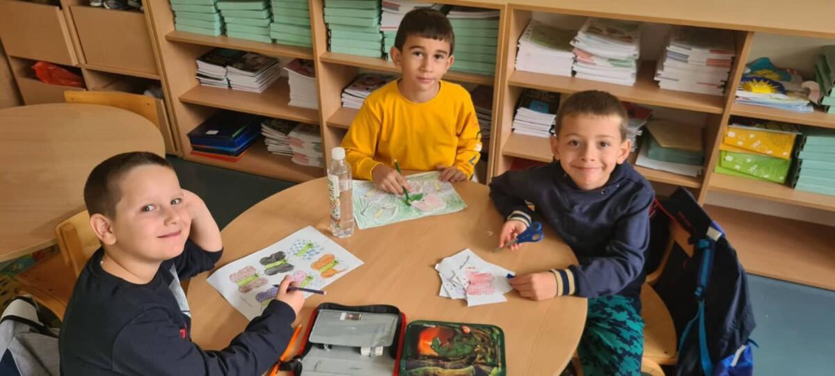 309602003 401020332200577 5734611978391886193 n