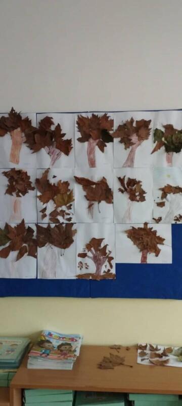 309634227 811980166598713 54683328999583975 n