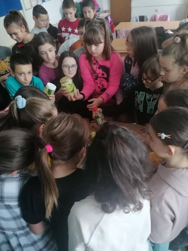 310107305 587485986448065 7809026347731056702 n