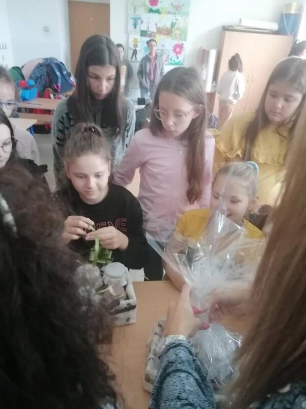 310766074 2193332474184342 602133941043122153 n