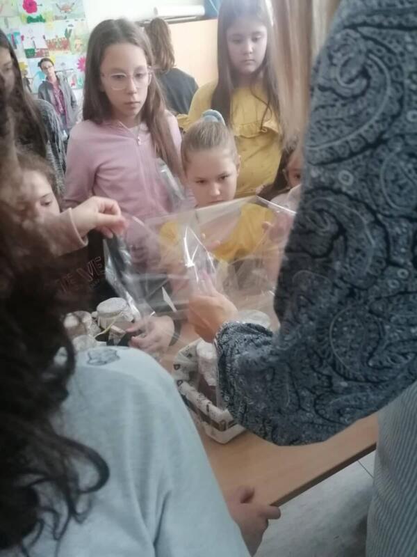 310807215 3265246507137432 762501246358254747 n