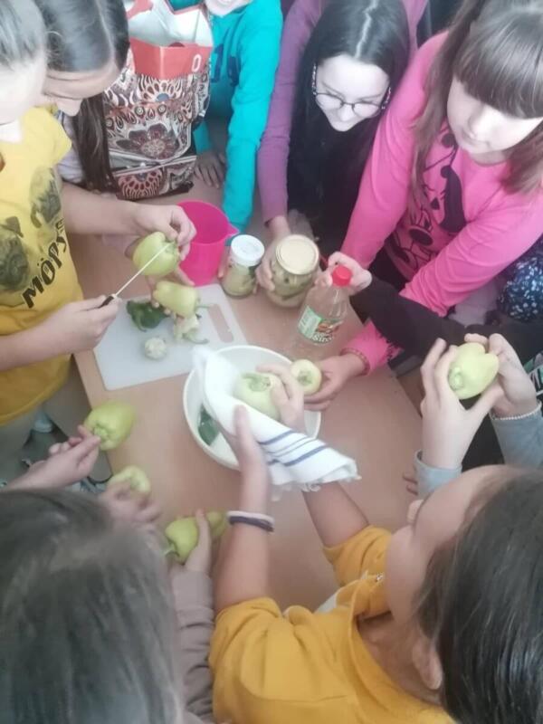 310955391 668464191152186 8605069980920563847 n