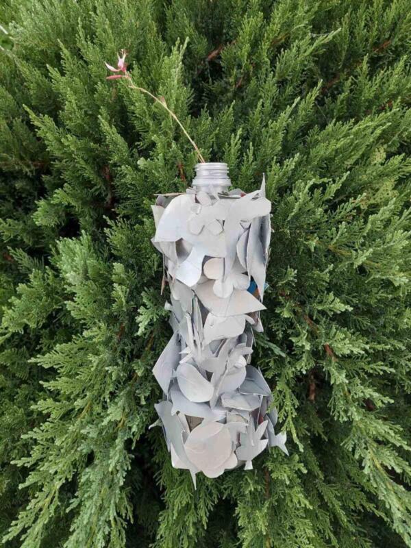 311159318 370986945172700 6428939817183787951 n