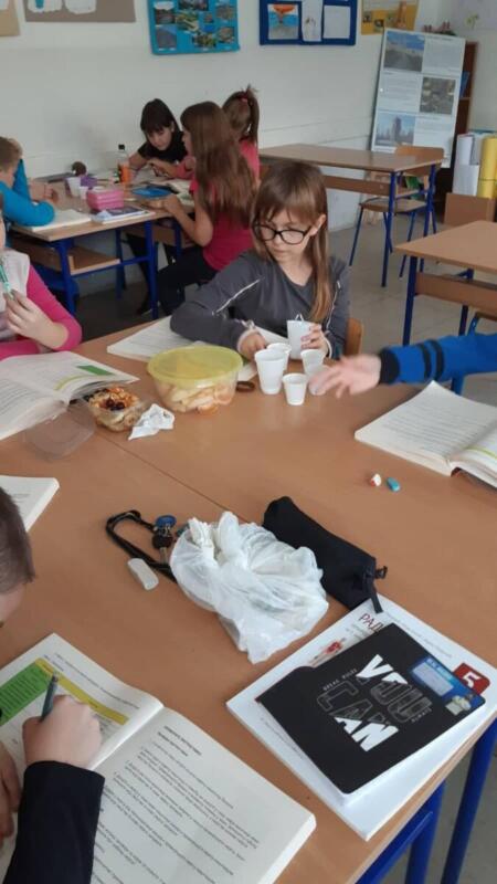 311228373 1319737178827766 5020803779523478069 n (1) - kopija