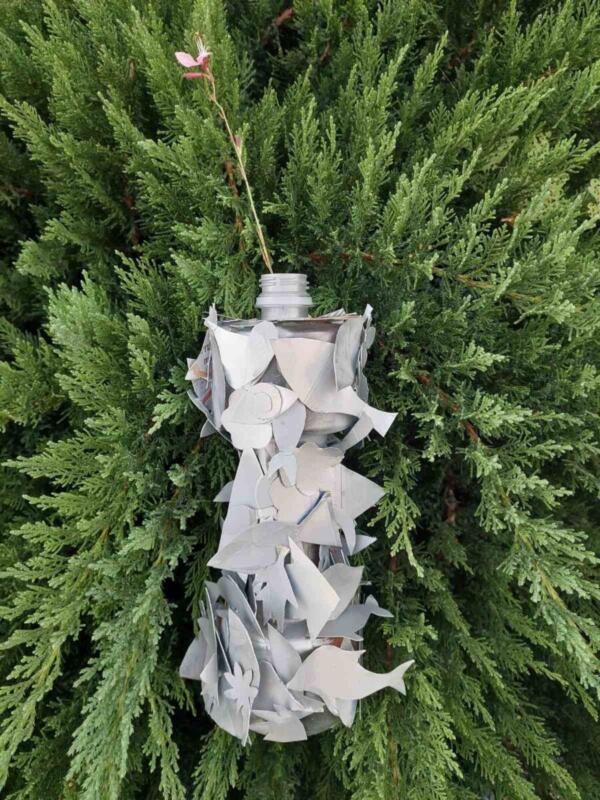 311952892 792425122034103 6837976975554872377 n