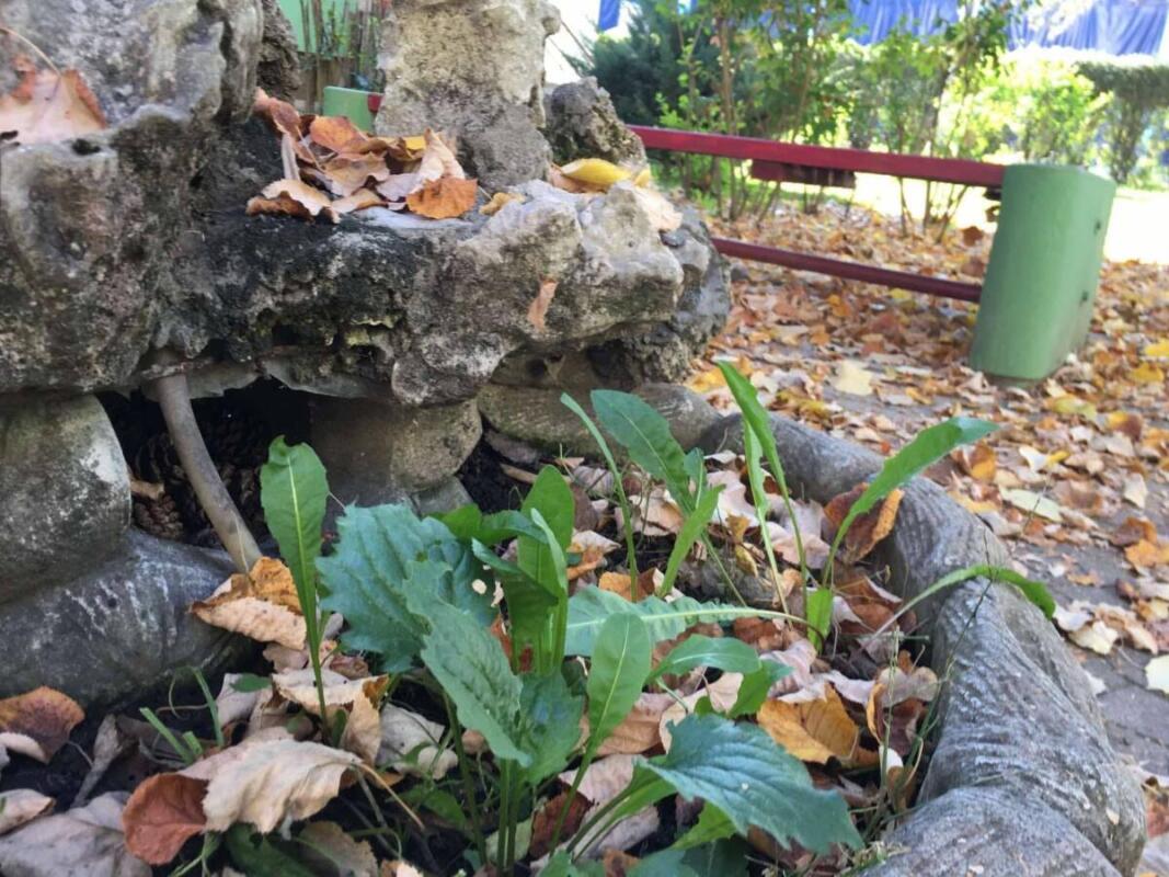 312291121 8236316229775259 4908687994663099293 n