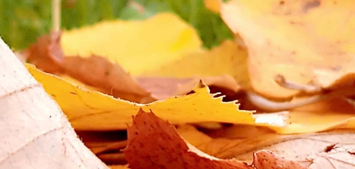 312402623 3763772660579705 6674127156095586955 n