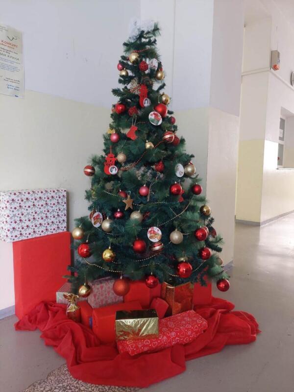 318190135 478132134446044 4190579161199083810 n