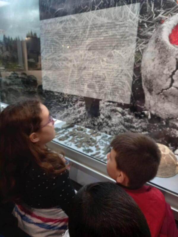 325903253 877599993356939 6559845504737742738 n (1)