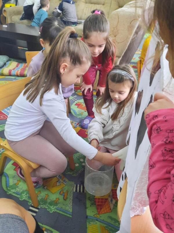 331217975 931736401294345 1207063151360488694 n (1)